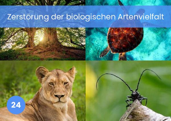 Zerstörung der biologischen Artenvielfalt